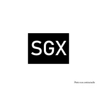 ETIQUETTE SGX - 40x30x1.6mm